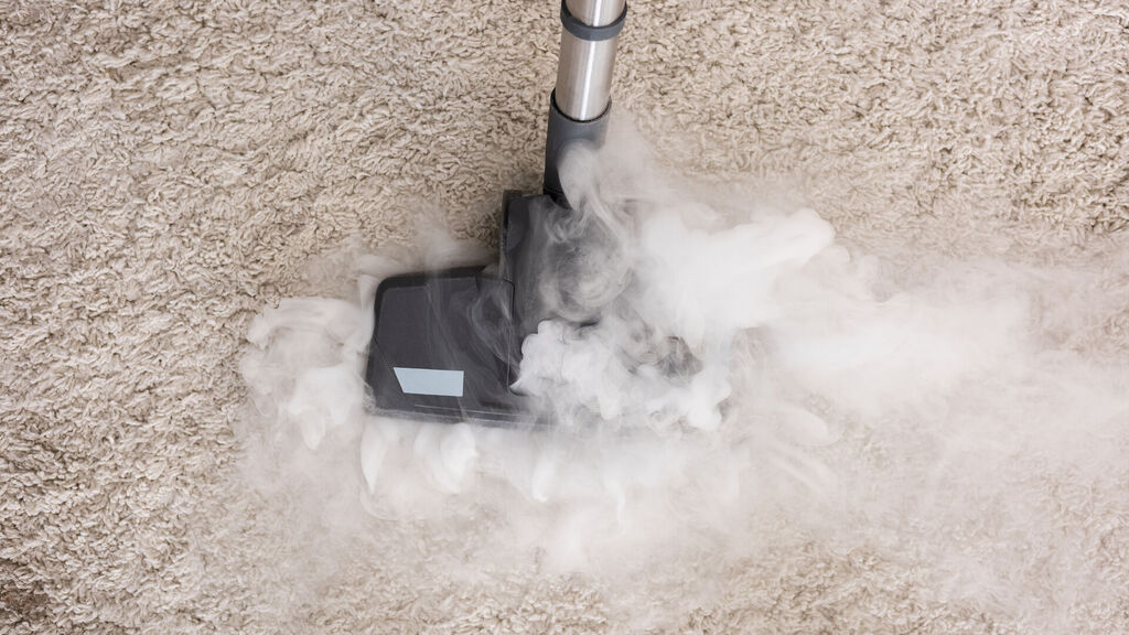 Area Rug Cleaning